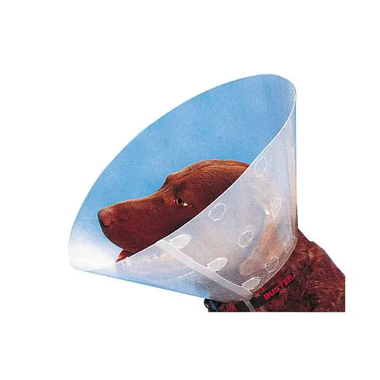 Boîte de 10 colliers CARCAN BUSTER 15 CM