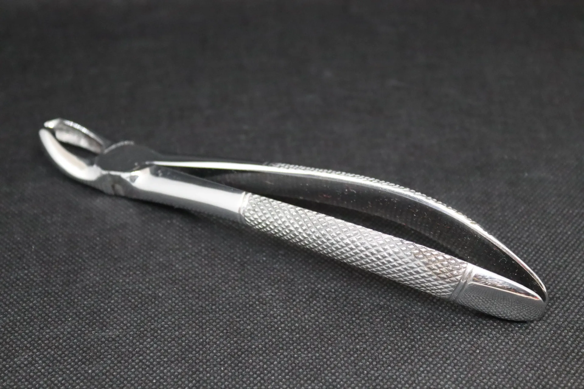 Davier dentaire inox petits animaux type demi-courbe