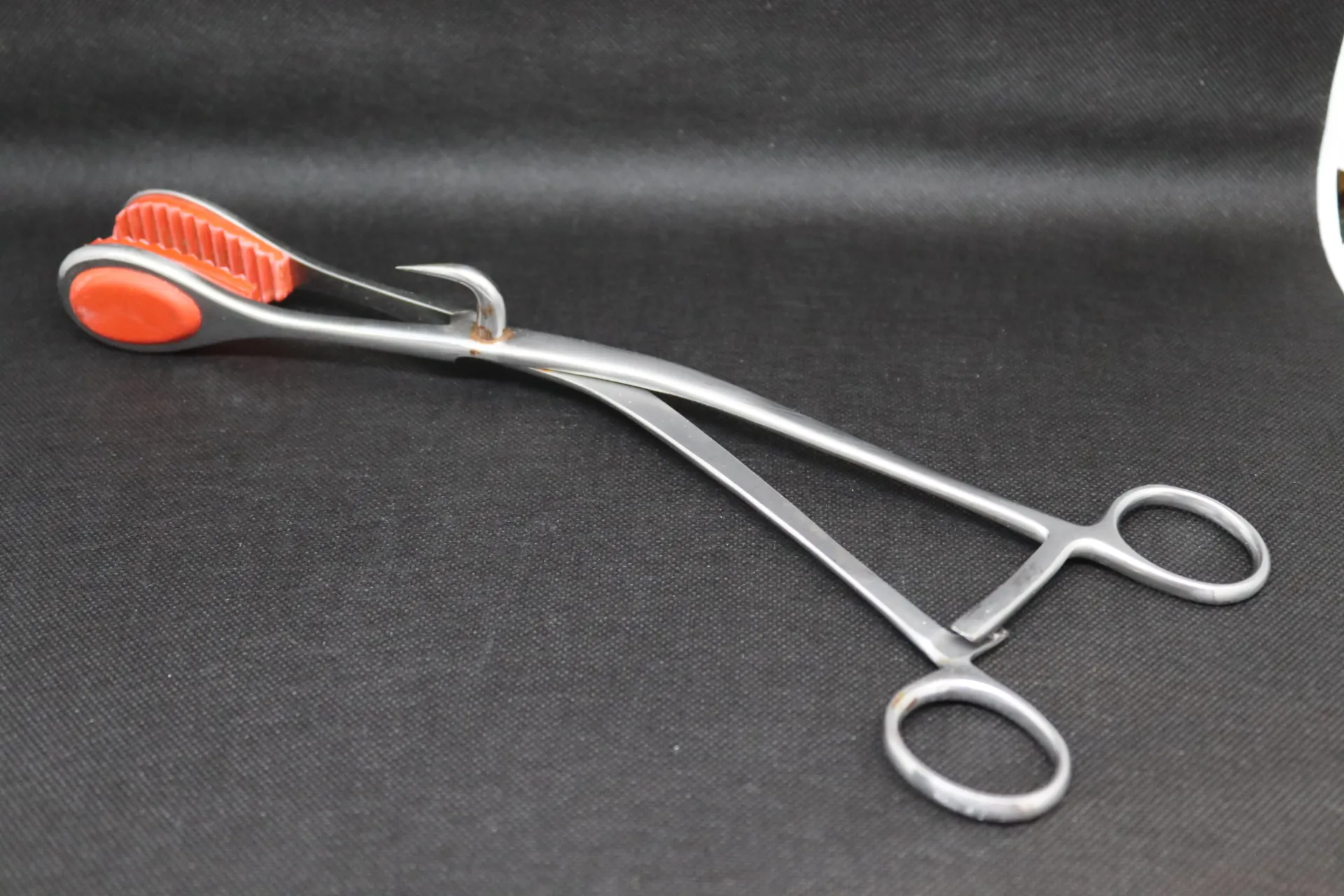 [VF 470] Pince à matrice Erbrich avec crochet pour bovins grand modèle inox