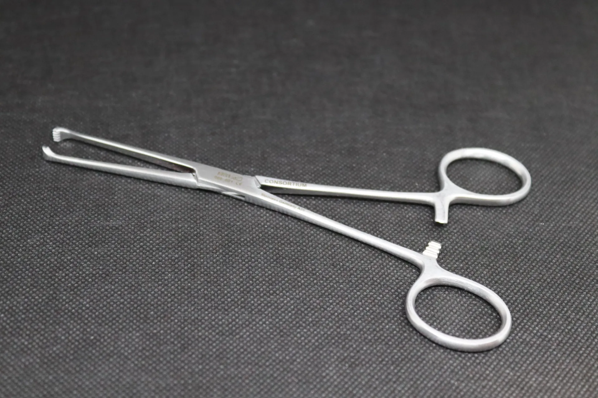 [EA018R] Pince chirurgicale Allis-Thoms Erbrich 18 cm inox petits animaux